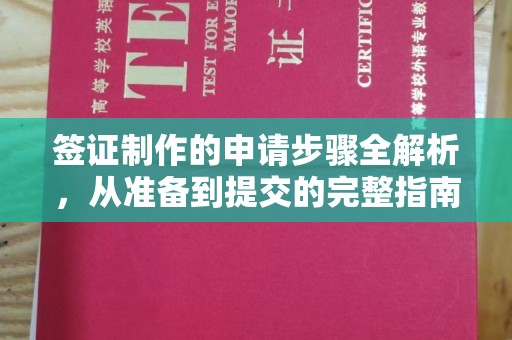 廉江签证制作的申请步骤全解析，从准备到提交的完整指南