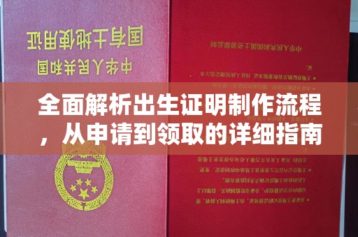 廉江全面解析出生证明制作流程，从申请到领取的详细指南