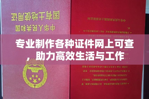 廉江专业制作各种证件网上可查，助力高效生活与工作