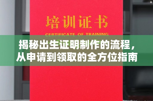 廉江揭秘出生证明制作的流程，从申请到领取的全方位指南