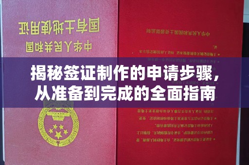 廉江揭秘签证制作的申请步骤，从准备到完成的全面指南