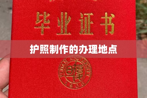 廉江护照制作的办理地点