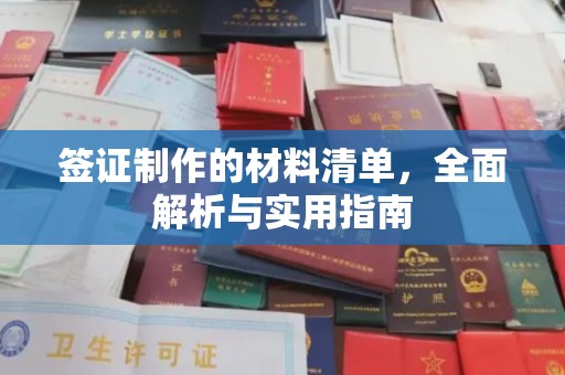 廉江签证制作的材料清单，全面解析与实用指南
