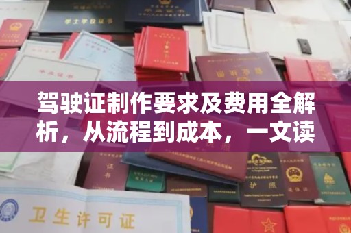 廉江驾驶证制作要求及费用全解析，从流程到成本，一文读懂