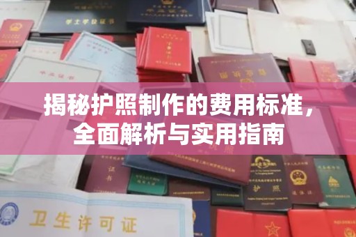 廉江揭秘护照制作的费用标准，全面解析与实用指南