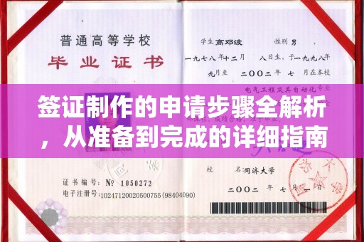 廉江签证制作的申请步骤全解析，从准备到完成的详细指南